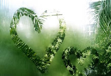 西班牙田径选手以绝佳表现夺冠，刷新纪录