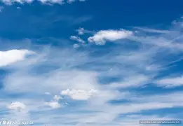 星空体育网页版入口-云达不来梅主场险胜，全队齐心合作的简单介绍
