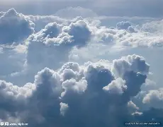 云达不来梅主场险胜，全队齐心合作的简单介绍