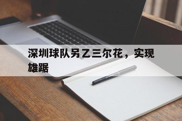 星空体育中国官网-深圳球队另乙三尔花，实现雄踞的简单介绍