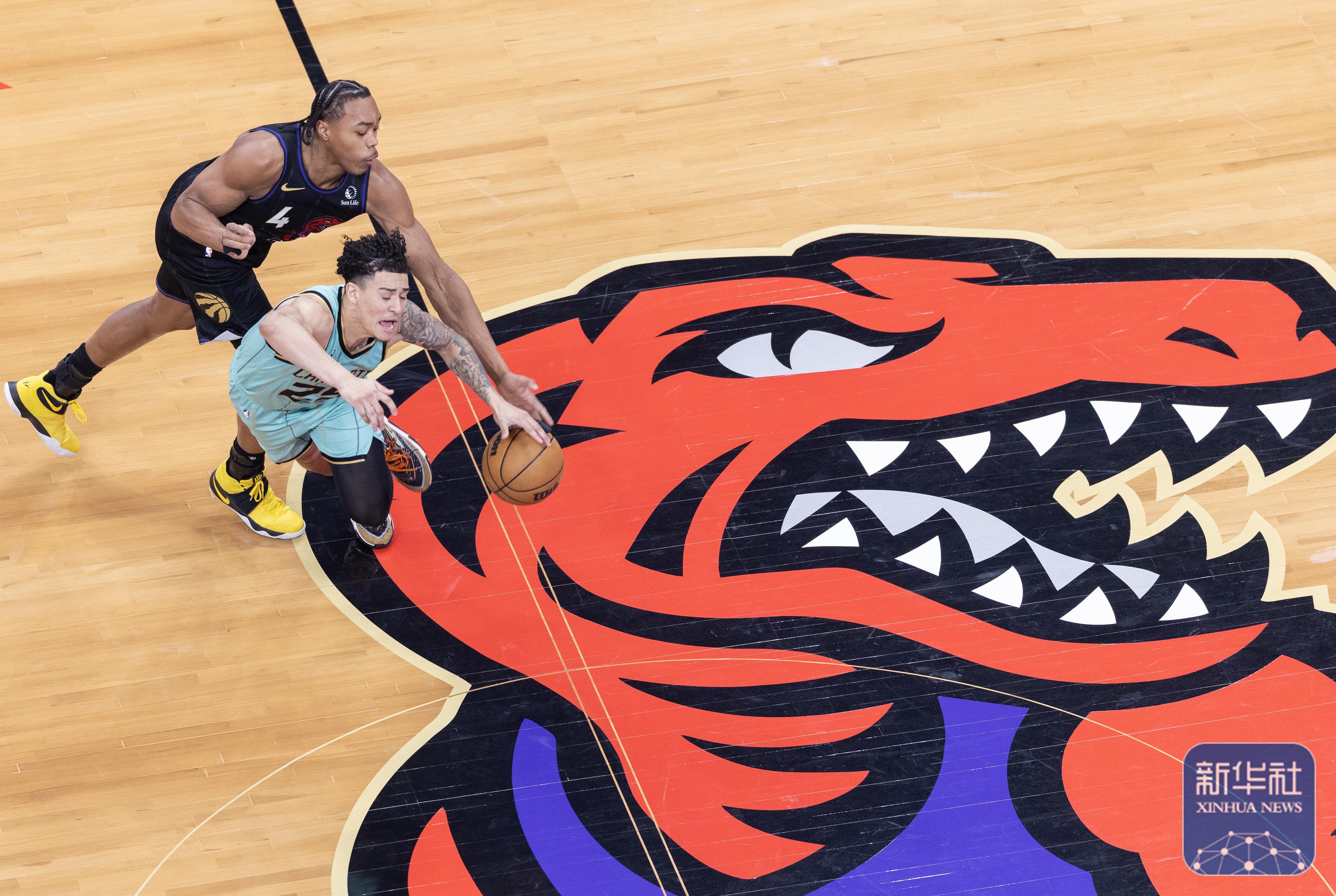 黄蜂大胜开拓者，击败对手轻松获胜